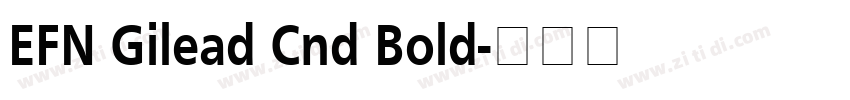 EFN Gilead Cnd Bold字体转换